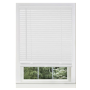 1" Mini Blind 27x64 - White