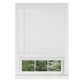 1" Mini Blind 39x64 - White
